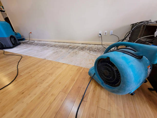 Professional Water Removal technician working in Gunlock, UT